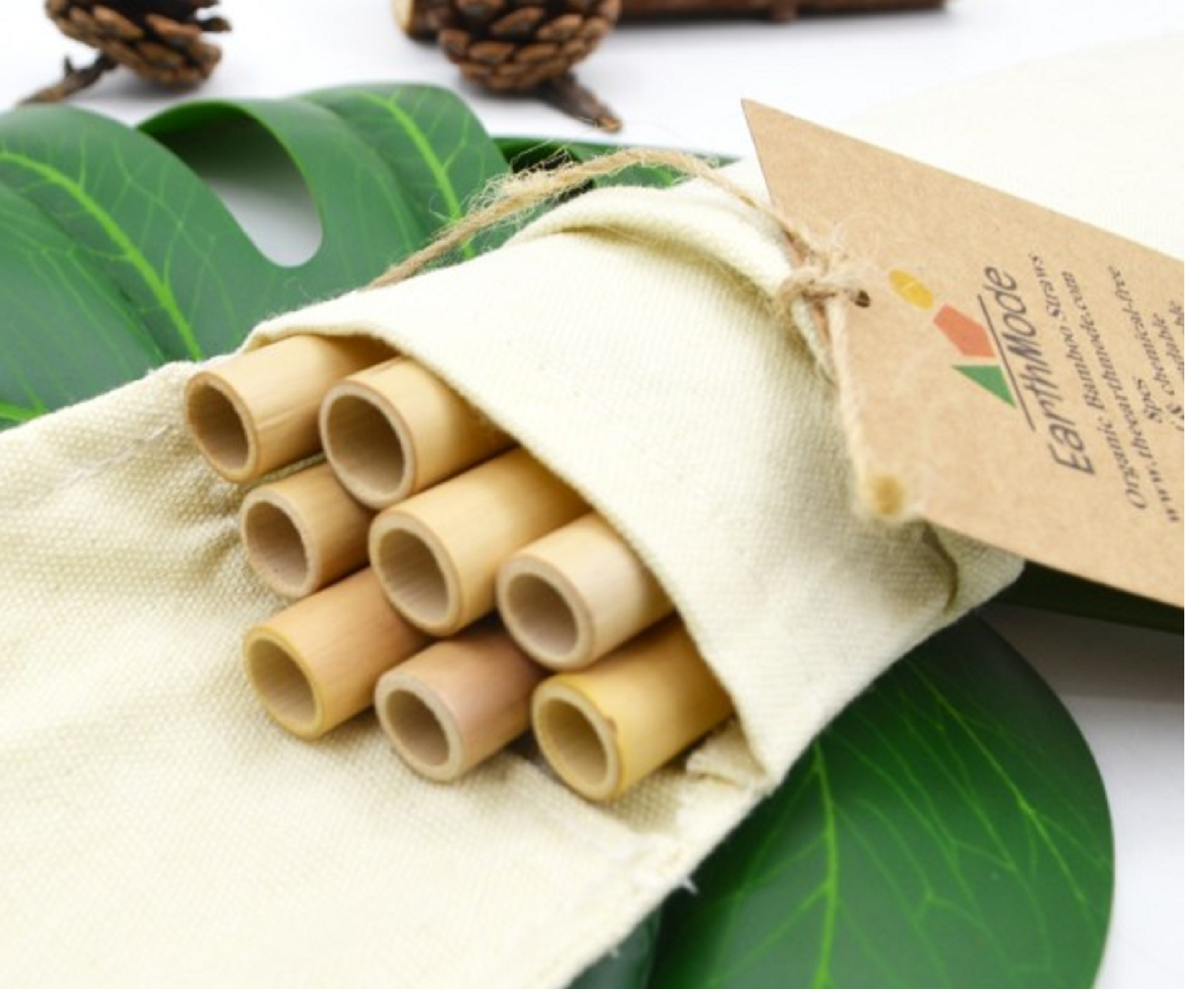 4 Bamboo Straws & Straw Brush Set, Reusable & Ecological